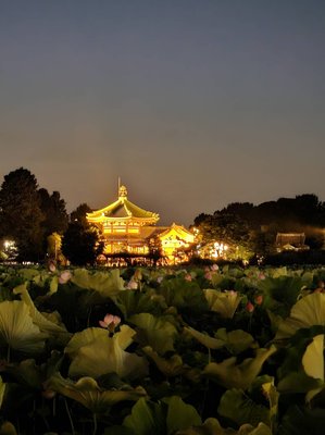 🌳 여름의 구름 공원(나츠노쿠모 코엔)
